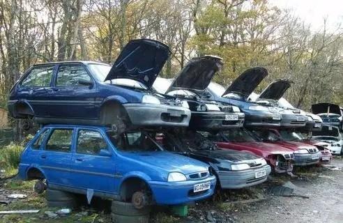 1702780474416008.jpeg c4f8e9451cbc6fb7b52e1a669cc4177e.jpeg